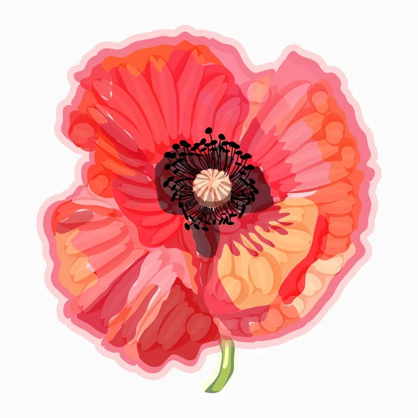 ケシ水彩の花のイラスト。花飾りの要素 — ストックベクタ