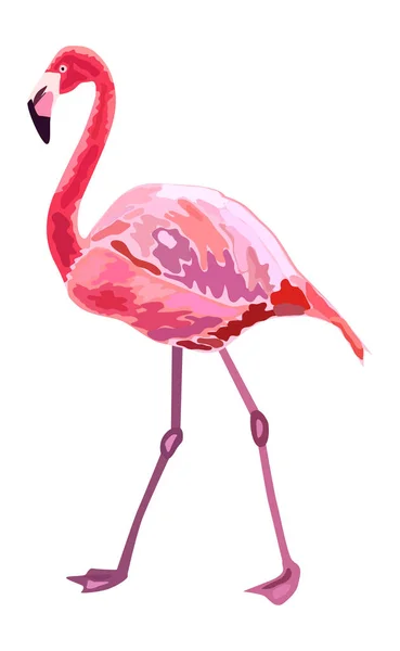 Rózsaszín flamingó illusztráció elszigetelt fehér background. — Stock Vector