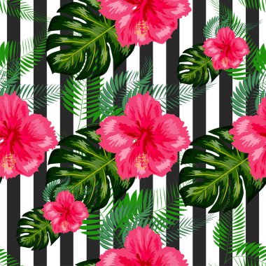 Tropik illüstrasyon canavarı bitkileri çiçek bırakır.