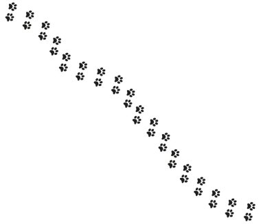 Kedi köpek izleri, ayak izleri, tasarım. Kedi ayak izleri, sağa dön.