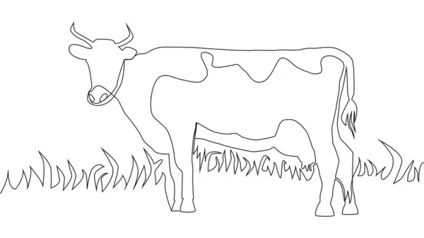 Continuous Line Beautiful Cow Standing Drawing Black Thin Line White — Stock Vector