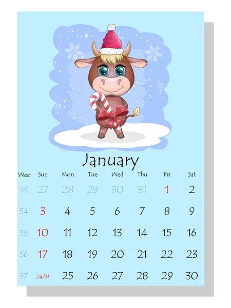 Kalender 2021 Leuke Stier Koe Voor Januari — Stockvector