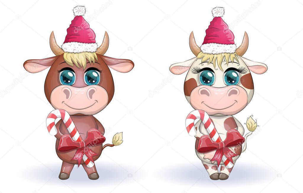 Cute cartoon cow, bull with Christmas candy and in a red Santa Claus hat, symbol 2021 on the eastern calendar.