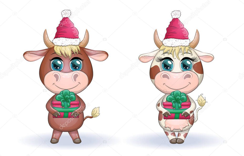 Cute cartoon cow, bull with a Christmas present and in a red santa claus hat, symbol 2021 on the eastern calendar.