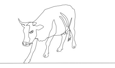 Devamlı bir sıra güzel bir inek ayakta duruyor. Beyaz arkaplanda siyah ince çizgi çiziliyor
