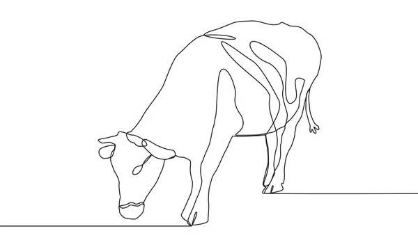 一头漂亮的母牛站在那里 在白色背景上画黑色细线 — 图库矢量图片