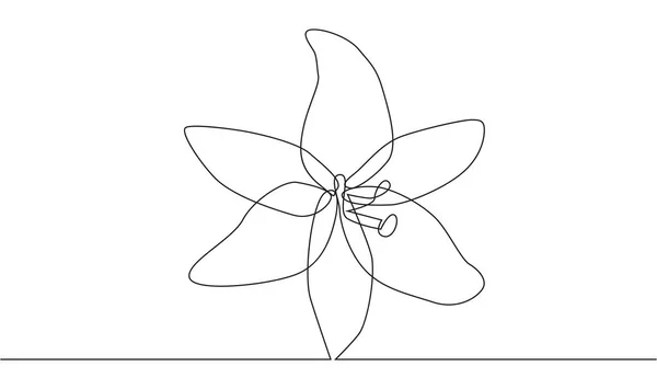 Continuous Single Drawn One Line Flower Lily Hand Drawn Picture — Stock Vector