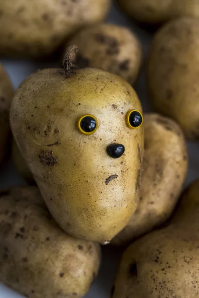 La cara de la patata — Foto de Stock