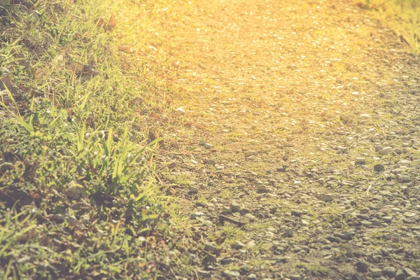 Passerelle naturelle en or avec roche et herbe, foyer sélectif, Natur — Photo