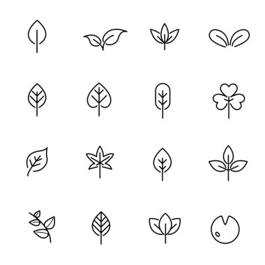 Vektör yaprak Icon set. Doğa ve sembol kavramı. İnce çizgi ikon teması. Beyaz arka plan izole. İllüstrasyon vektör.