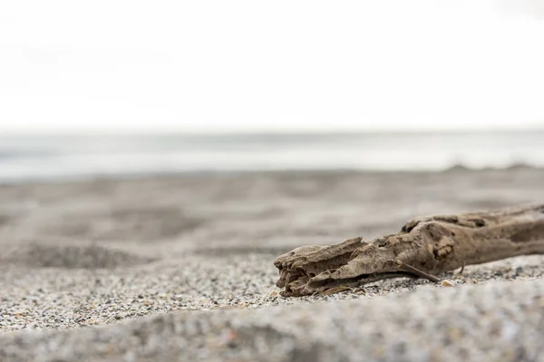 ไม้ไม้บนทรายชายหาด ใกล้ทะเล โฟกัสเลือกไม้ ทะเล และแนวคิดผ่อนคลาย — ภาพถ่ายสต็อก