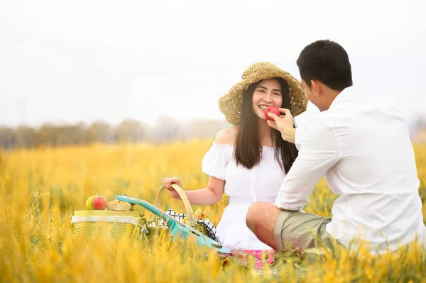 アジアのカップルは黄金の秋の牧草地の芝生のフィールドでピクニックを行う — ストック写真