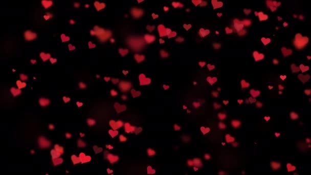 Red Hearts Particle Emotion Fade Bokeh Floating Black Screen Background — Stock Video