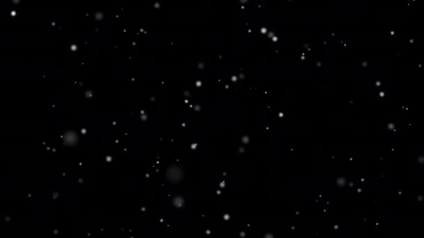Winter Snow Falling Sky Top Snow Isolated Black Background Motion — Stock Video