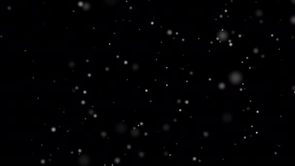 Nieve Invierno Cayendo Desde Cielo Fondo Negro Aislado Para Nieve — Vídeo de stock