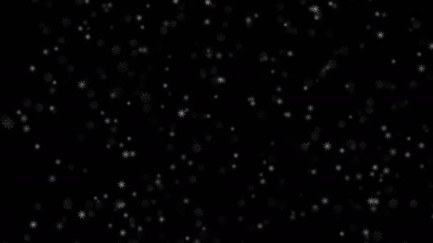 Winter Snow Falling Sky Snow Isolated Black Background Motion Graphics — Stock Video