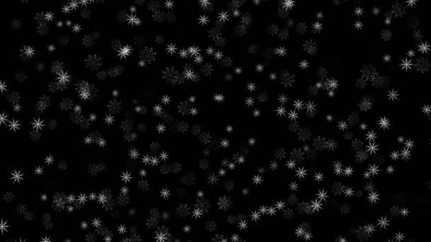 Wintersneeuw Die Uit Lucht Valt Sneeuw Geïsoleerd Zwarte Achtergrond Voor — Stockvideo