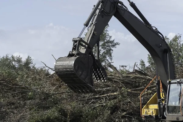 Máquinas de construção escova de limpeza e árvores em uma propriedade pr — Fotografia de Stock