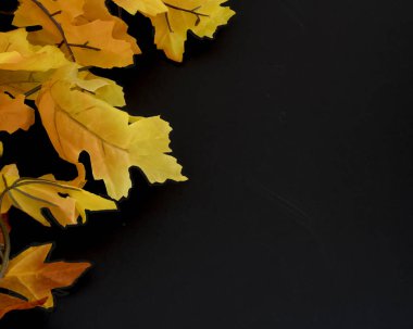 Turuncu ve sarı yapraklı siyah arka planda sonbahar yaprakları