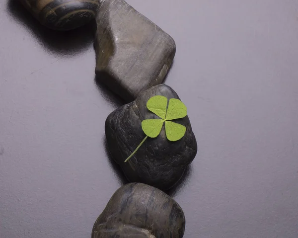 Buena suerte de los irlandeses como se representa con un trébol de cuatro hojas en las rocas  . — Foto de Stock