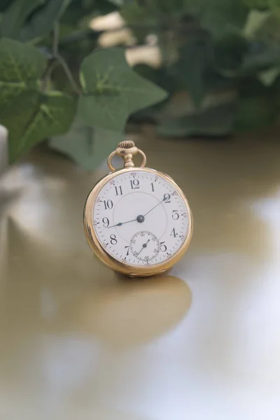 Антикварний золотий кишеньковий годинник, який використовувався, щоб розповісти час в природній обстановці — стокове фото