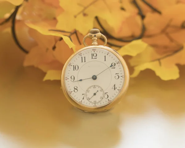 Antika altın cep saati, doğal ortamlarda zamanı söyler. — Stok fotoğraf