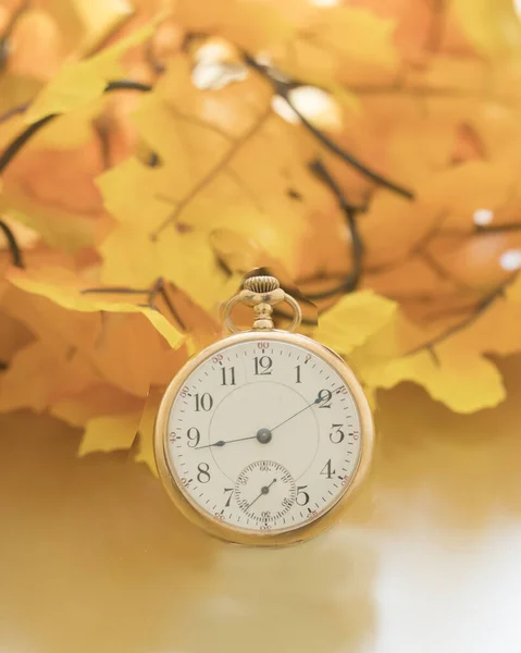 Antike goldene Taschenuhr, die in einer natürlichen Umgebung die Zeit anzeigt — Stockfoto
