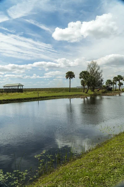 Tard Matin Lac Tohopekalag Situé Dans Centre Floride Osceola Comté — Photo