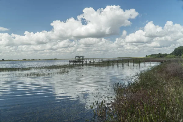 Conservatoire Twin Oaks Lac Tohpekaliga Osceola County — Photo