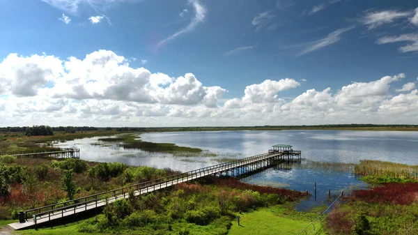 Konzervatoř Twin Oaks Jezera Tohpekaliga Osceola County — Stock fotografie