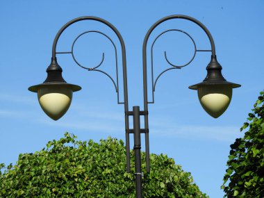 lamba, çift, siyah, park, gün