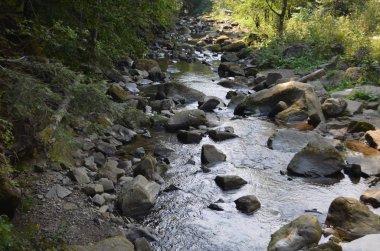 Taşlar nehir su doğa orman