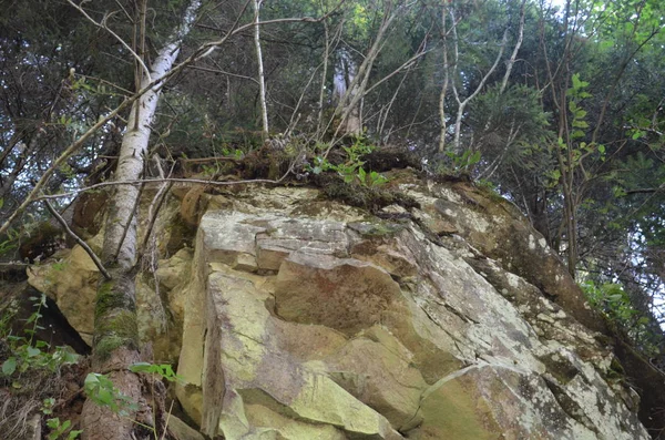 Montagna pietra foresta albero natura — Foto Stock