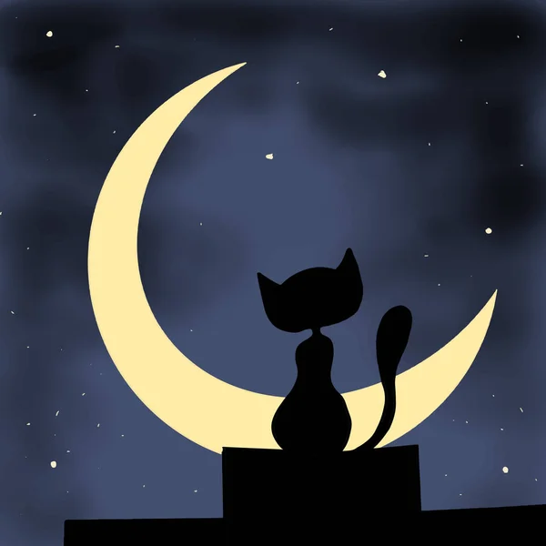 cat facing the moon