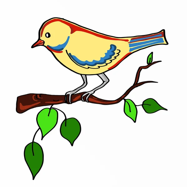 Färg på gren fågeln — Stockfoto