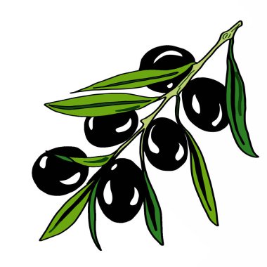 Zeytin simgesi gıda
