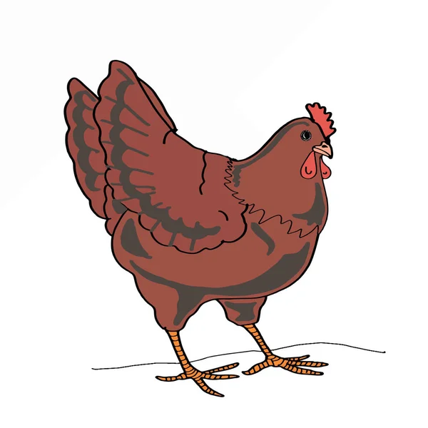 Chicken icon farm — Stock Photo, Image