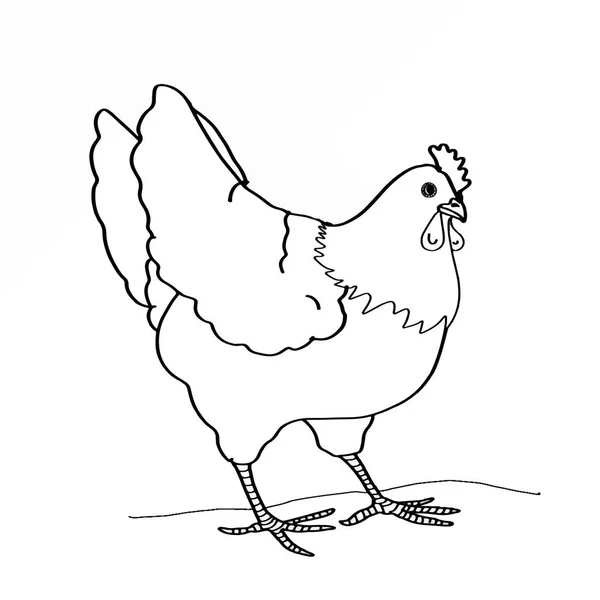 Huhn malt Tier — Stockfoto