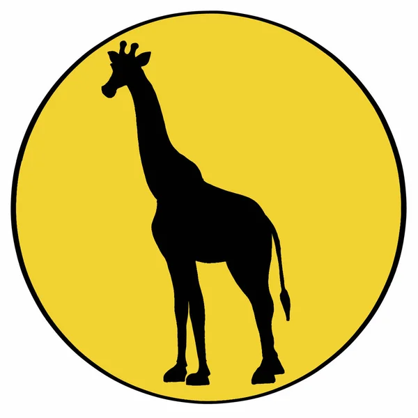 Icona ombra giraffa — Foto Stock