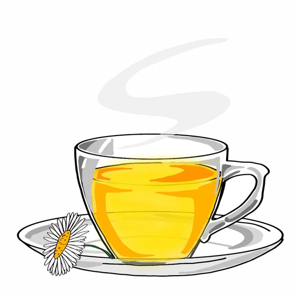 Cam bardak papatya çayı — Stok fotoğraf