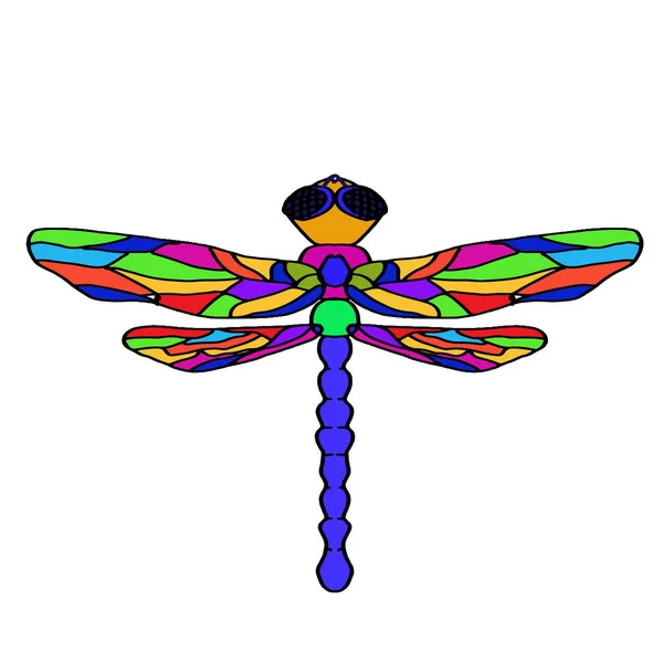 Färgglada dragonfly djur — Stockfoto