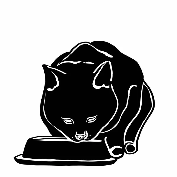 Gato preto comer — Fotografia de Stock