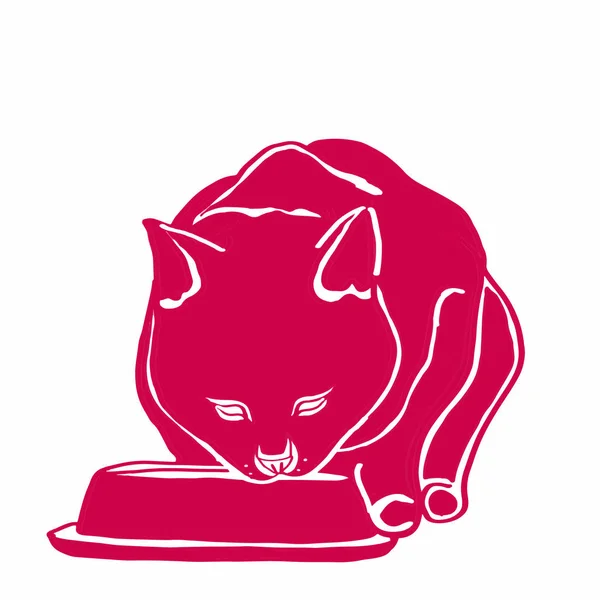 Różowy kot jedzenia — Zdjęcie stockowe