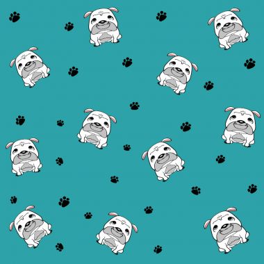 Sevimli beyaz köpek beyaz arka plan