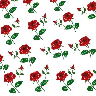 Arka plan çiçek wallpapper gül