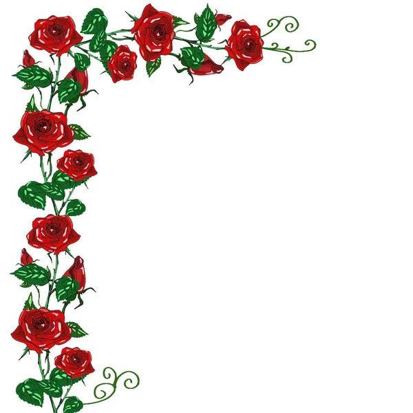 Rama rose czerwony wzór — Zdjęcie stockowe