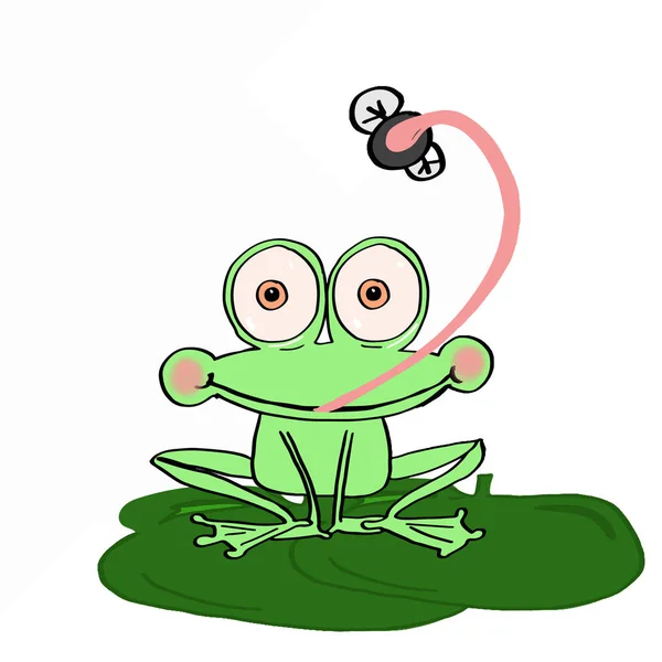 可爱的青蛙和昆虫和白色背景 — 图库照片