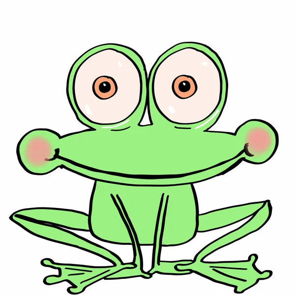 Cute frog and  white  background