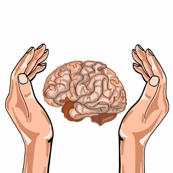 human brain and hand illustartion cartoon drawing and white background