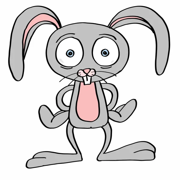 可爱的兔子 Greyillustration 卡通画吉祥物和白色背景 — 图库照片